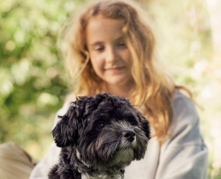 Chien avec un enfant