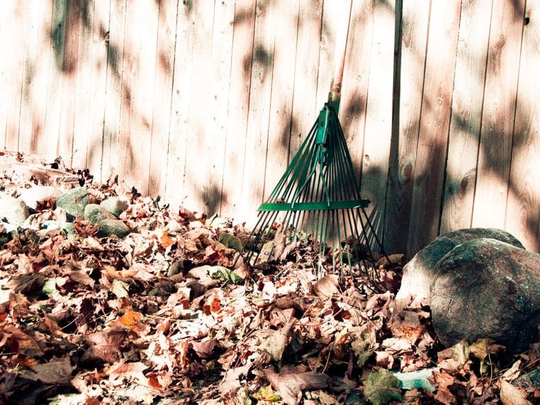 Gros plan sur un râteau vert et des feuilles mortes