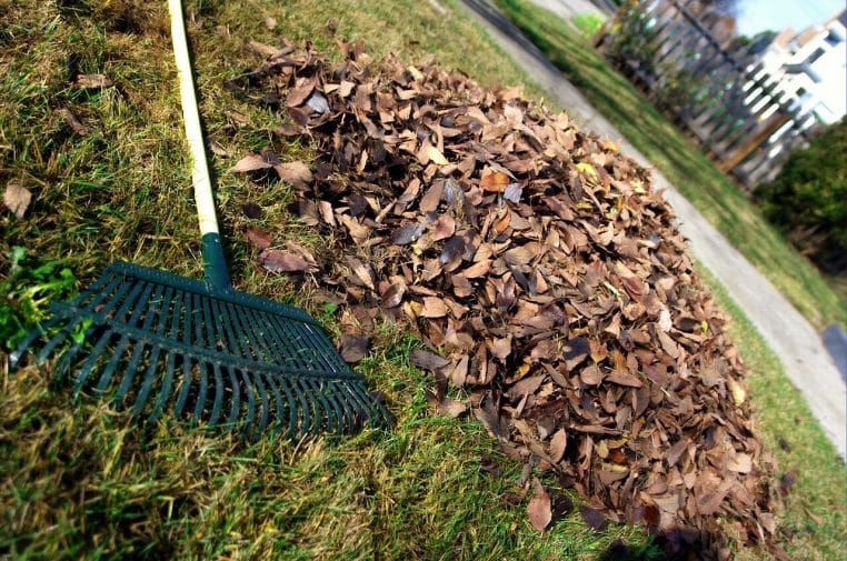Râteau posé sur un tas de feuilles mortes en automne