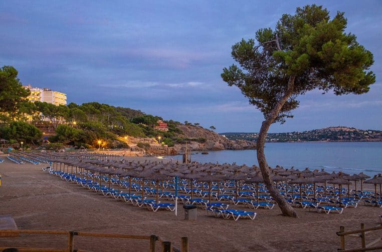 Paguera, Majorque : plage de sable avec parasols.