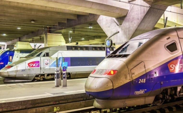 RER laisse chien info