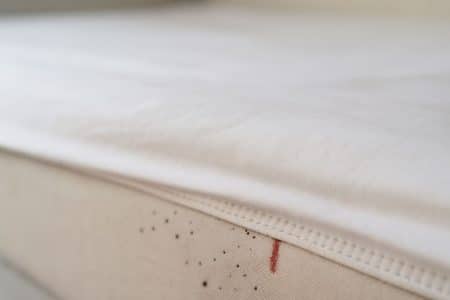 Petites taches noires et fine trace de sang au bord d’un drap blanc, le long de la couture du matelas ; des signes évocateurs de punaises de lit.