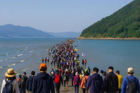 Chemin de sable éphémère du « miracle de Jindo » reliant l’île de Jindo à Modo, foule avançant entre deux bras de mer sous un ciel clair.