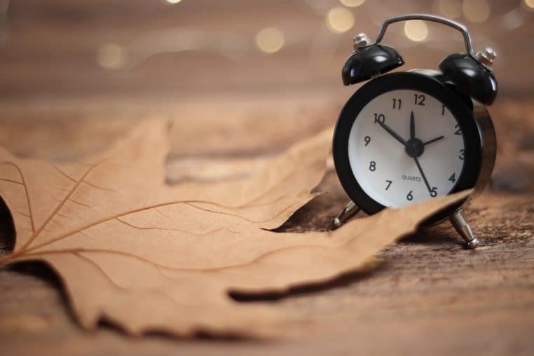 Réveil mécanique entouré de feuilles, ambiance automnale.