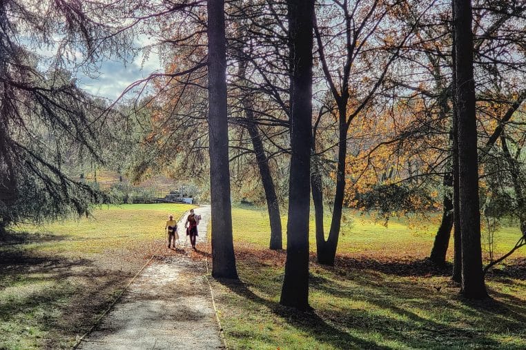 Deux personnes marchant sur un sentier forestier en automne