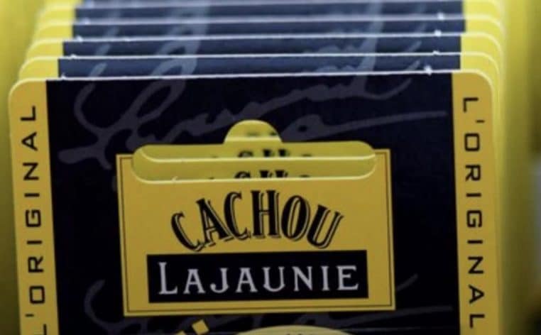 cachou Cachou Lajaunie actualité