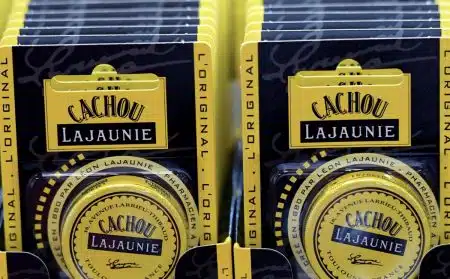 cachou Cachou Lajaunie actualité