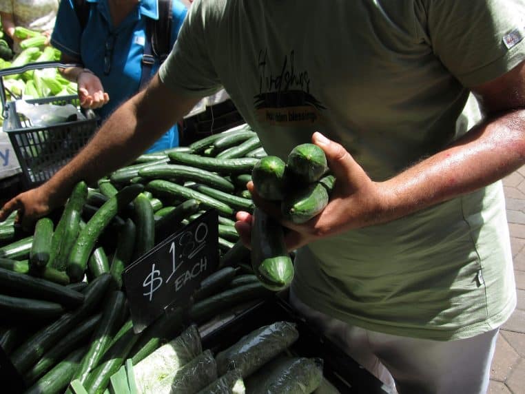 Rappel massif de concombres