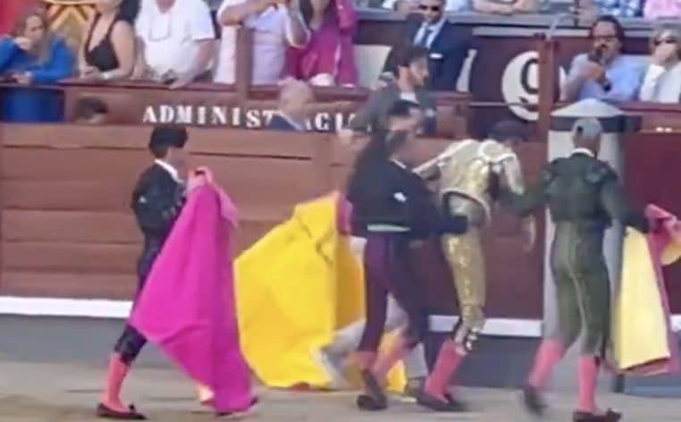 corrida torrero taureau actu