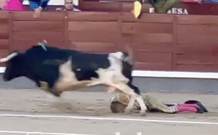 corrida torrero taureau info