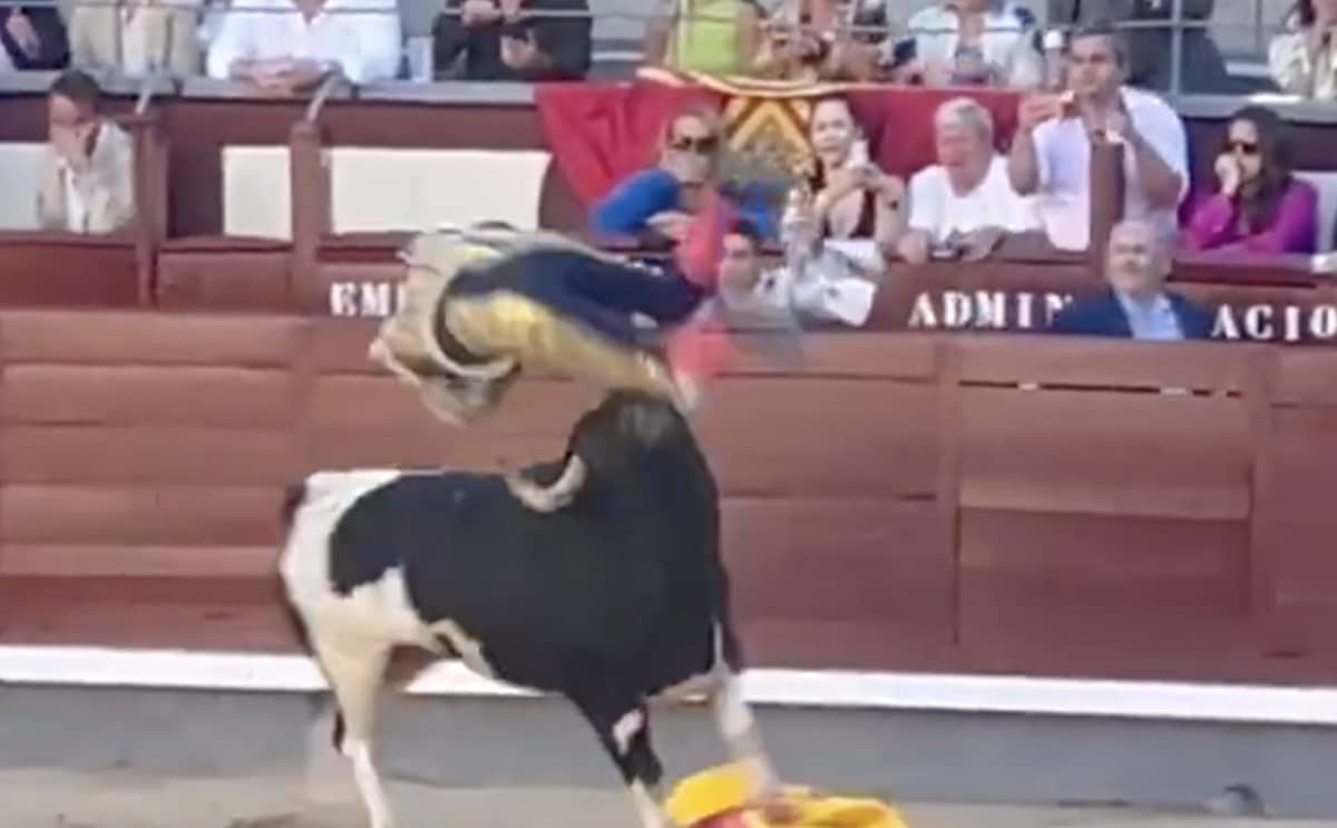 corrida torrero taureau