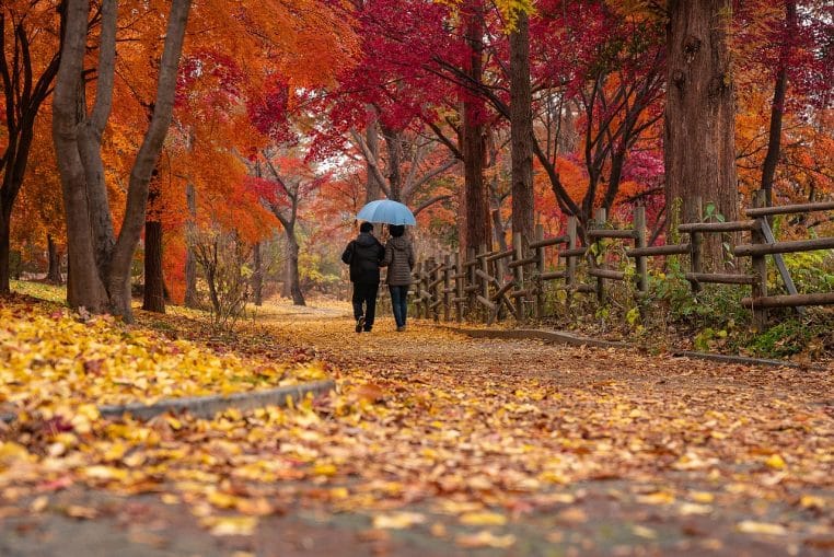 Couple de seniors marchant dans un parc aux feuilles orangées