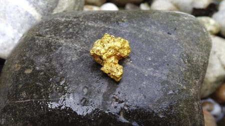gros plan de pépites d’or natif sur fond sombre
