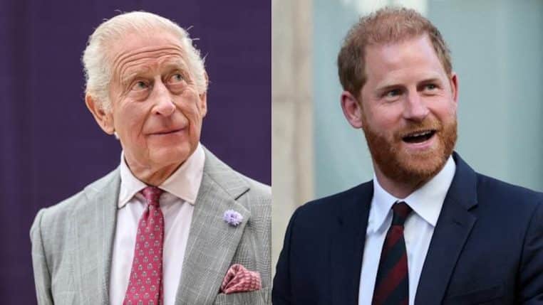 harry-et-charles-III-retrouvailles-secretes-mal-passeesss-copie.jpg