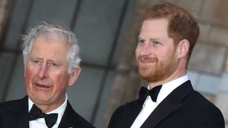 harry-et-charles-III-retrouvailles-secretes-mal-passeesss-copie.jpg