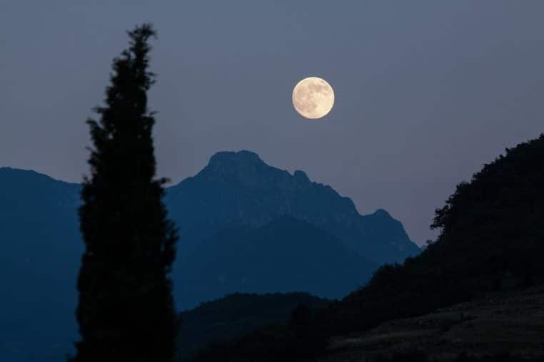 Ciel nocturne étoilé avec pleine lune et silhouettes d’arbres.
