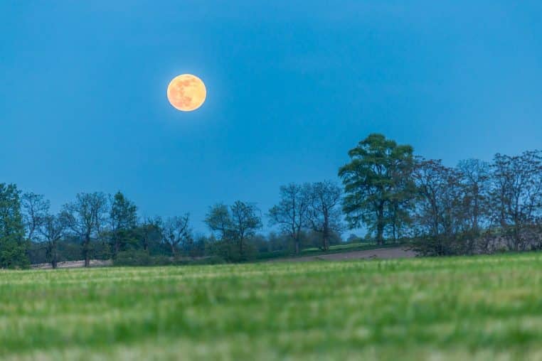 pleine lune au-dessus d’un champ en soirée