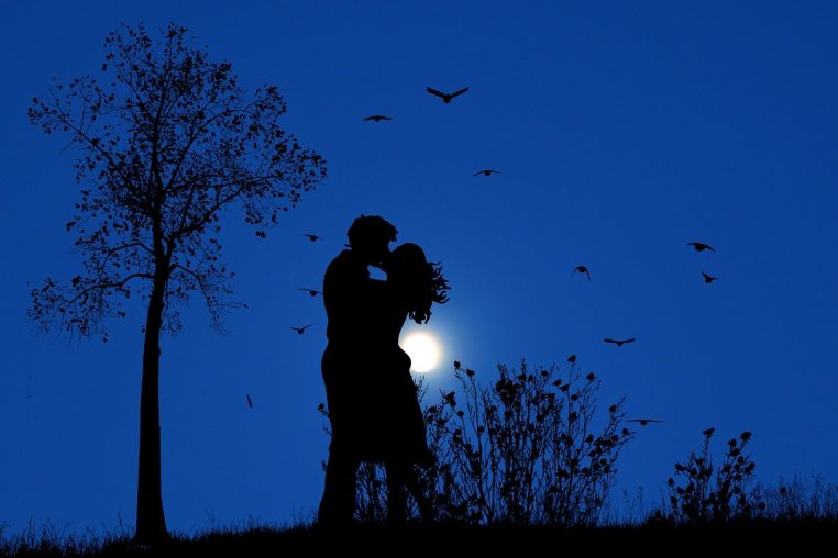 Illustration d’un couple en silhouette la nuit, étoile et lune en arrière-plan.
