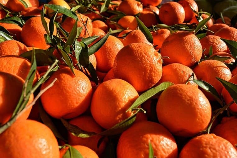 orange rappel conso pesticidesss - copie