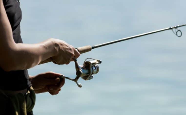 pêche actu poisson