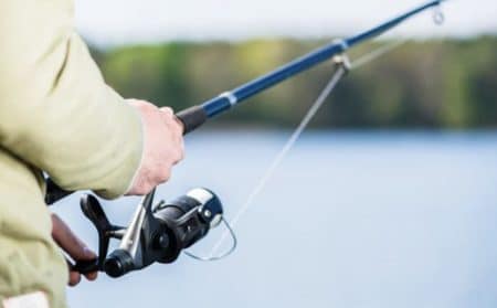 pêche actu poisson