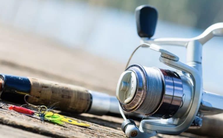 pêche actu poisson