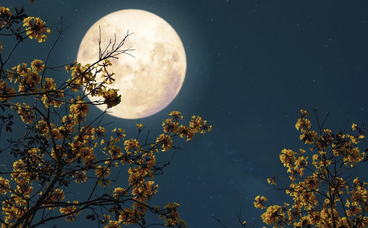 pleine lune actualité