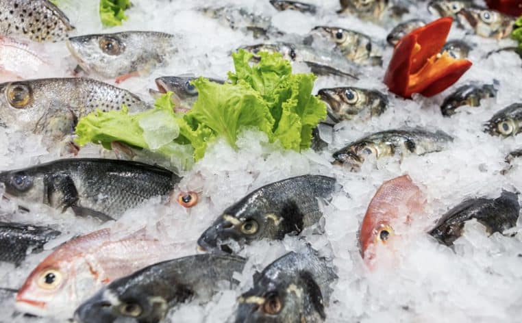 poissonnerie poisson Grand Frais rappel actualité