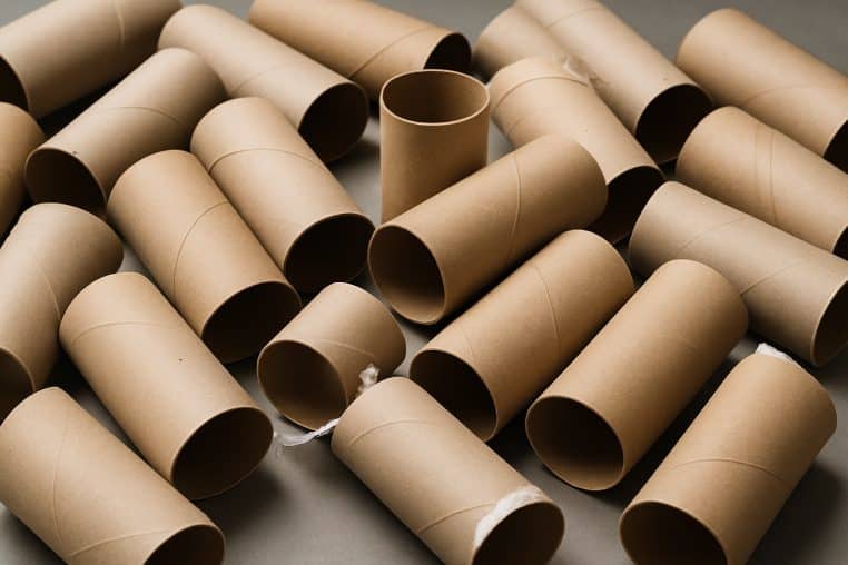 Rouleaux de papier toilette vides