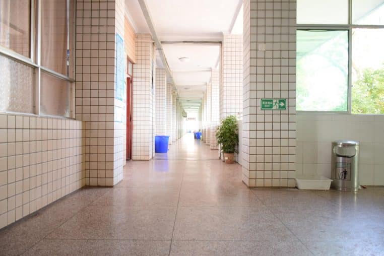 Long couloir d’école lumineux avec plantes