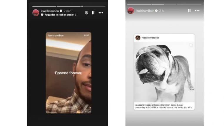stories chien lewis hamilton