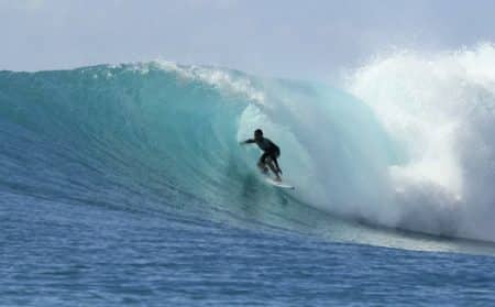 actu surfeur requin info