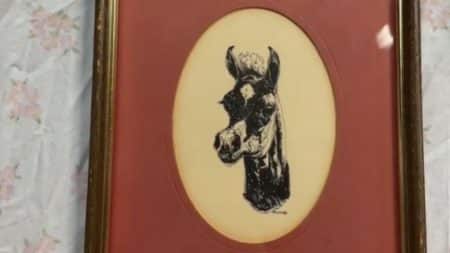 tableau cheval @tiktok