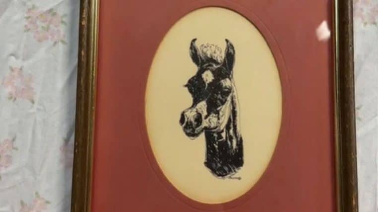 tableau cheval @tiktok