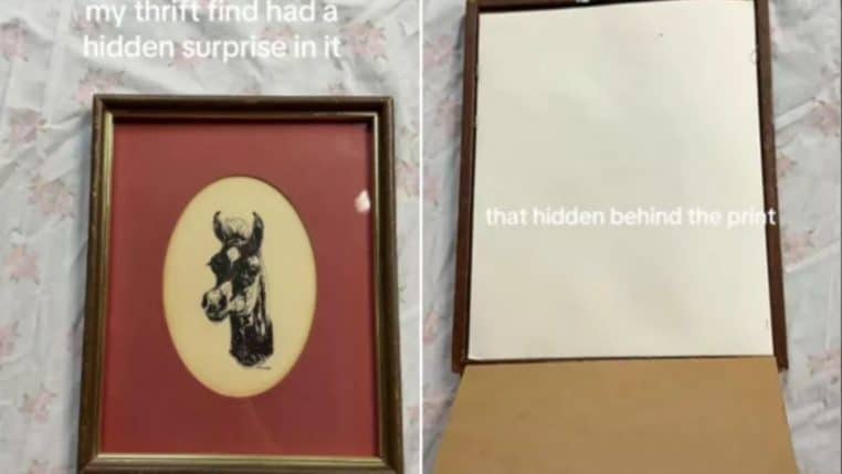 tableau cheval brocante @tiktok