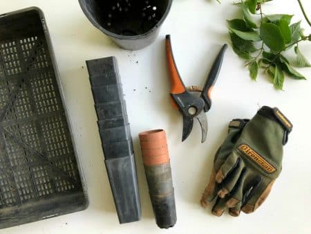 Jardinage outils pour tailler plantes