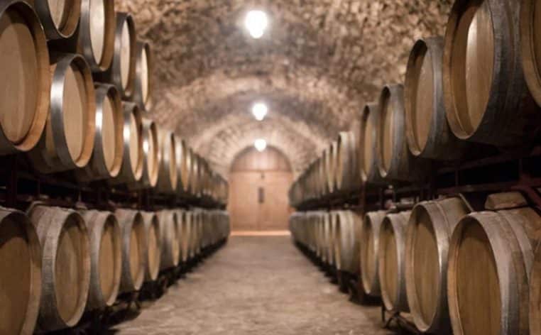 vins Lidl informations