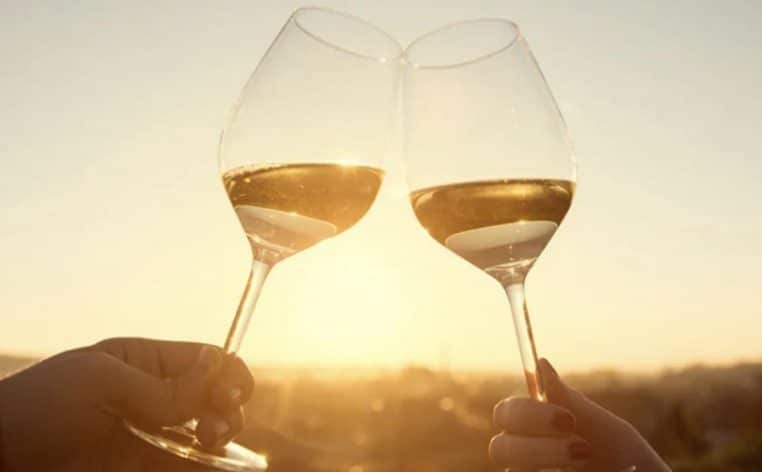 vins Lidl informations