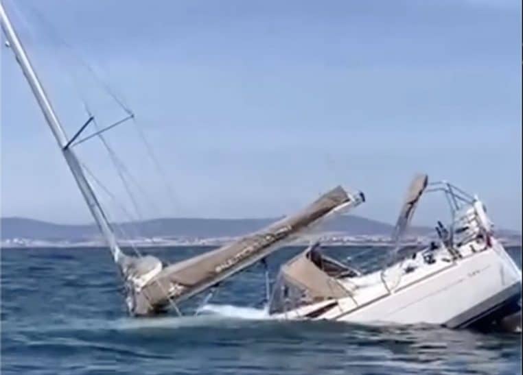 Voilier coulé par des orques