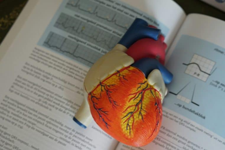 Cœur sur livre de cardiologie, contre crise cardiaque