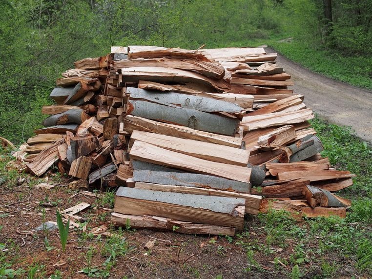 Tas de bois de hêtre fraîchement fendu dans un sous-bois