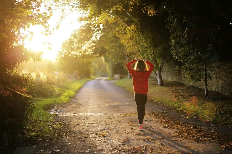 walking, fitness, girl, dawn, fall, outdoors, nature, pathway, recreation, trees, brown fitness, brown tree, brown sunset, brown walking, brown workout
