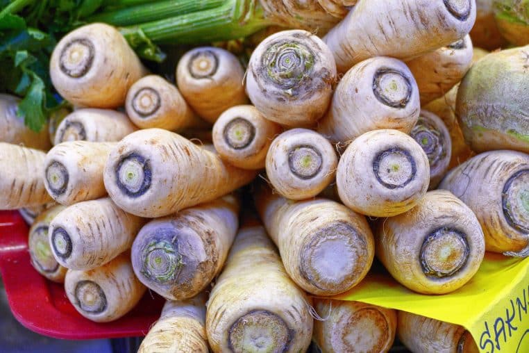 parsnips, root vegetable, beets, pastinaca sativa, parsnip, meadow parsnip, vegetables-parsnip, vegetables, sales booth, market hall, market, purchasing, food, healthy, staple food, farmers local market, parsnips, parsnips, parsnips, parsnips, parsnips, parsnip, parsnip, parsnip, parsnip