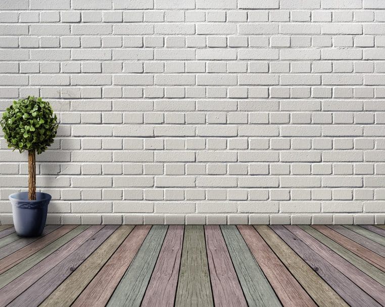 space, empty, wooden floor, plant, nature, plant pot, boxwood, deco, houseplant, white, inner space, wooden floorboards, coloured, wall, room, stone wall, architecture, living room, floor, inside, brick wall