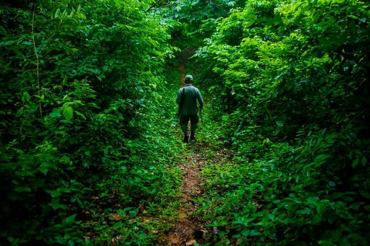 Une personne avance seule sur un sentier au cœur d’une forêt dense, lumière douce filtrant entre les troncs, ambiance calme et contemplative.