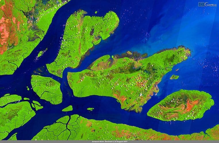 Image satellite de l’immense estuaire de l’Amazone, eau chargée en sédiments bruns s’ouvrant vers l’Atlantique.