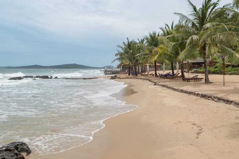 Ruban de sable doré, vagues douces et rangée de palmiers avec transats sur Phu Quoc, cadre tropical recherché pour snorkelling et détente.