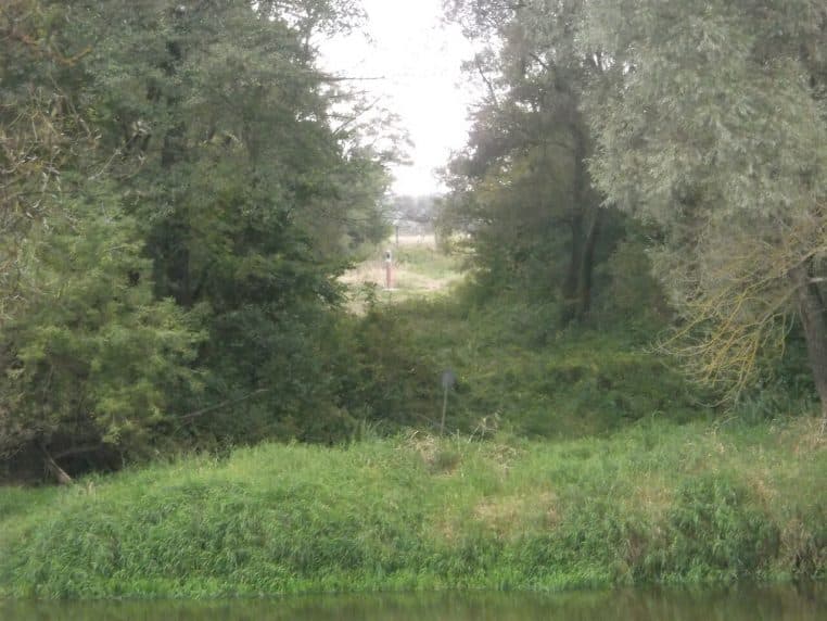 La rive biélorusse vue depuis le bord du Bug à Włodawa