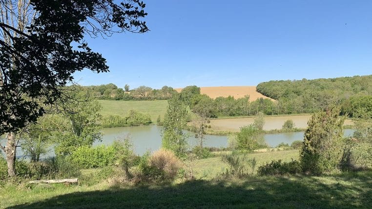Plan d’eau du lac de Macau bordé d’arbres dans la forêt de Bouconne, ciel clair.