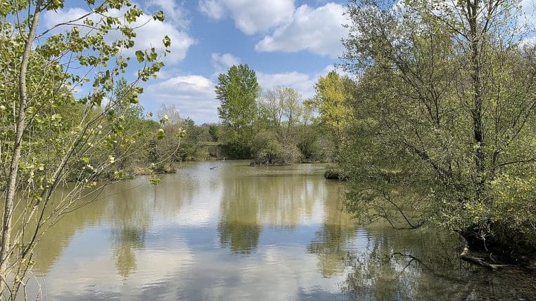 Berge arborée du lac de la Croix, reflet des arbres, lumière de jour.